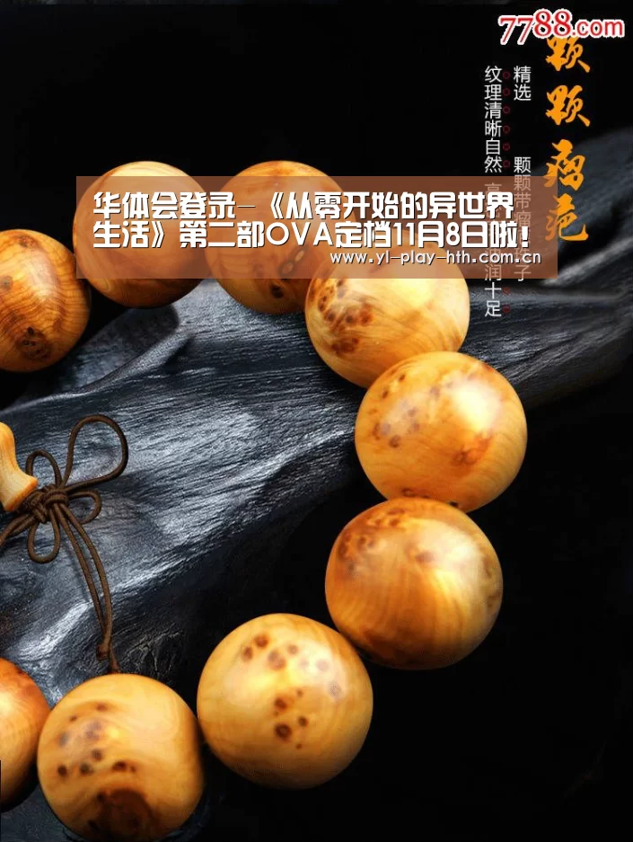 华体会官方