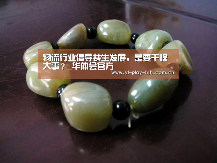 物流行业倡导共生发展,是要干啥大事?_华