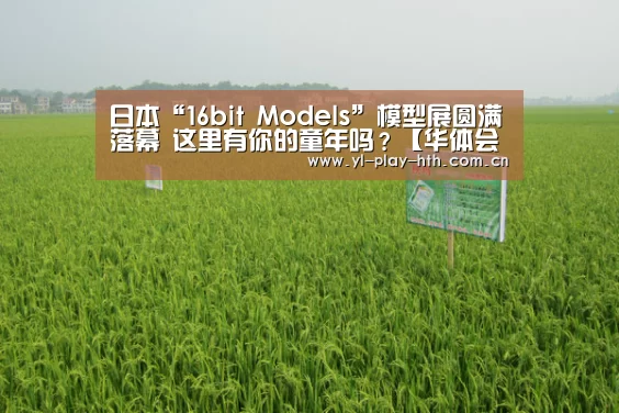 华体会官方