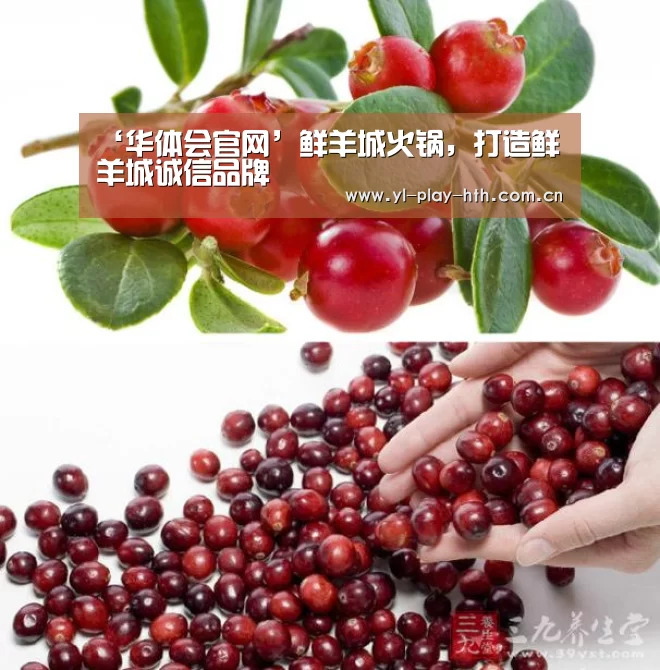 ‘华体会官网’鲜羊城火锅,打造鲜羊城诚信品牌(图2) 华体会